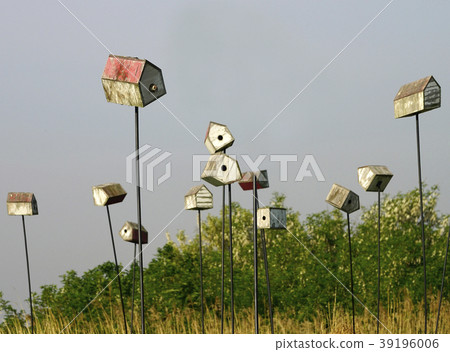 A bird house with a sparrow A bird house with a sparrow 39196006