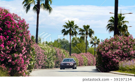 Luxury car driving along road with beautiful 39197134