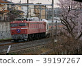 The train runs under the cherry blossoms 39197267