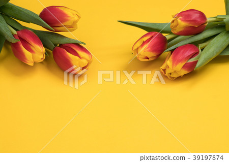 Tulip flowers postcard Tulip flowers postcard 39197874