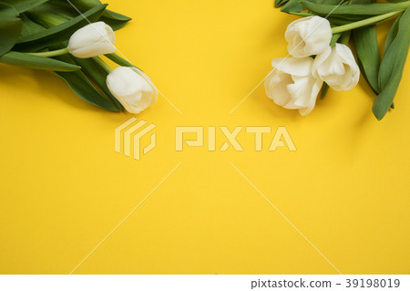Tulip flowers postcard Tulip flowers postcard 39198019