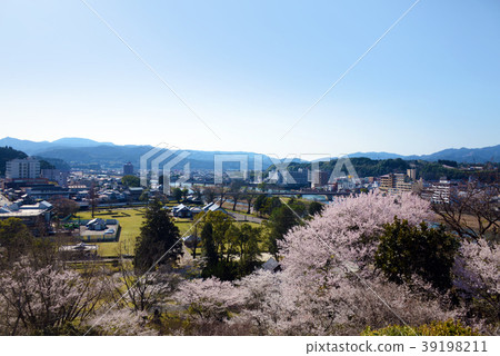 Hiyoshi Castle ruins and cityscape in spring 39198211