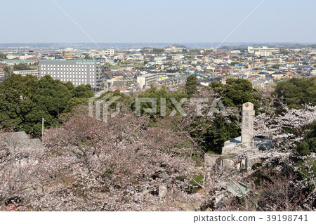 櫻花盛開的重山公園 木更津市 照片素材 圖片 圖庫