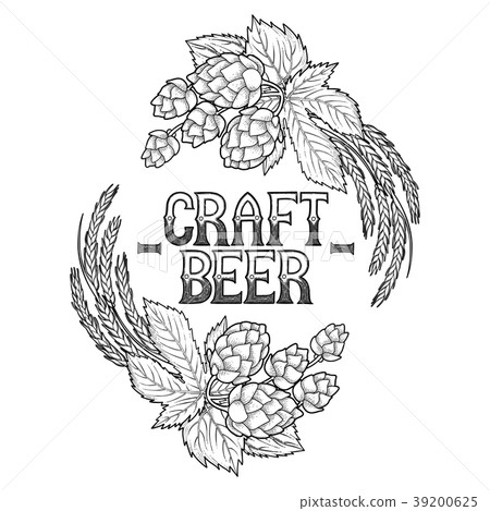 Graphic hop and malt 39200625