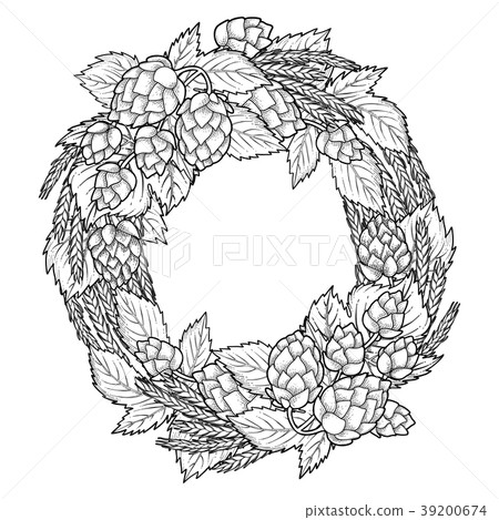 Graphic hop and malt Graphic hop and malt 39200674