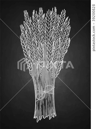 Graphic malt bunch Graphic malt bunch 39200828