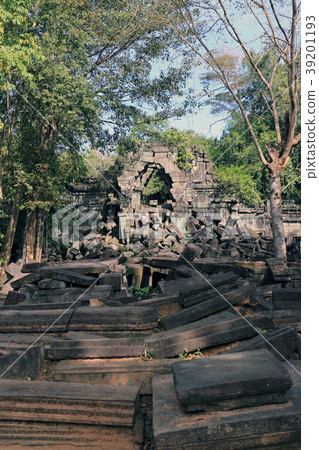 本梅利亞 本梅利亞 39201193