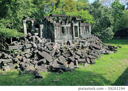 本梅利亞 39201194