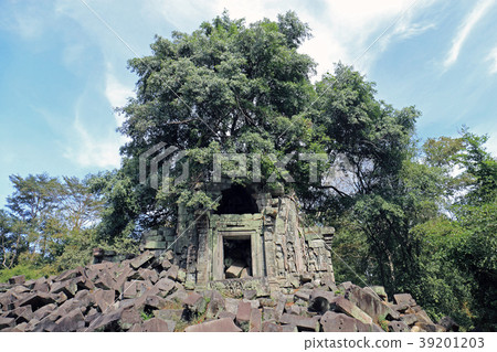 本梅利亞 39201203