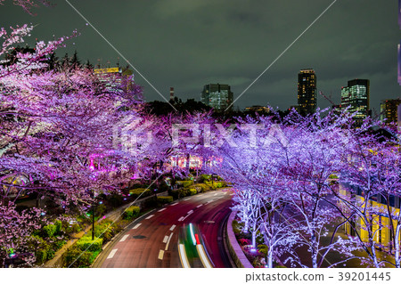 [Tokyo] Cherry blossoms at night 39201445