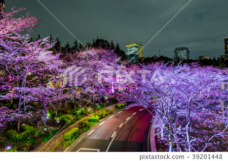 [Tokyo] Cherry blossoms at night 39201448