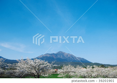 Spring Takachihonomine Kirishima Spring Takachihonomine Kirishima 39201901