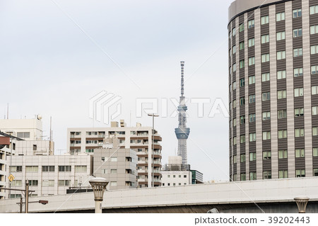 [Tokyo] City landscape 39202443