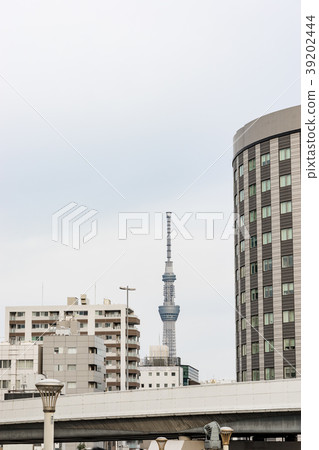 [東京]城市景觀 39202444