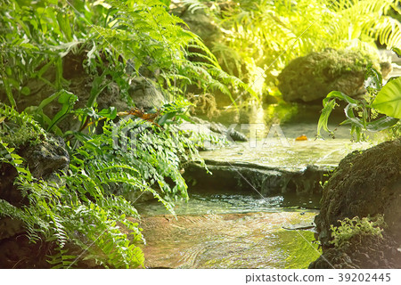 Waterfall in the forest Waterfall in the forest 39202445