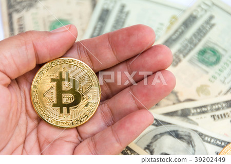 golden bitcoin in hand on banknote dollars golden bitcoin in hand on banknote dollars 39202449
