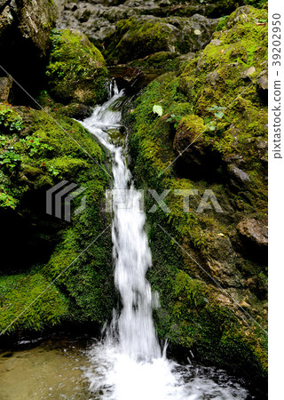 Cascade Beautiful - Pyrénées - France Cascade Beautiful - Pyrénées - France 39202950