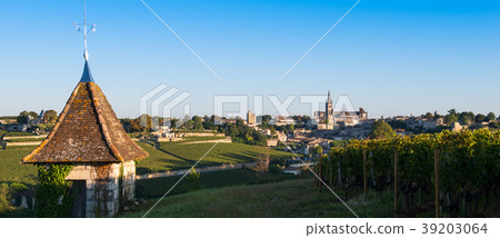Saint-Emilion-Vineyard landscape-Vineyard south Saint-Emilion-Vineyard landscape-Vineyard south 39203064