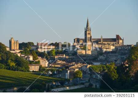 Saint-Emilion-Vineyard landscape-Vineyard south 39203115