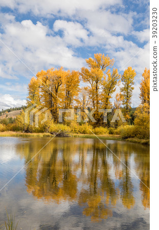 Autumn Reflection in Wyoming 39203230