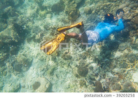 snorkeling diver make a free diving on tropical re snorkeling diver make a free diving on tropical re 39203258