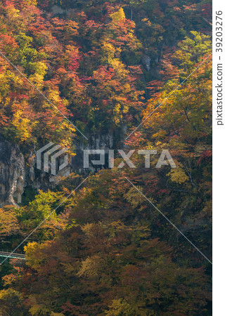 Naruko Gorge valley with train railroad tunnel in Naruko Gorge valley with train railroad tunnel in 39203276
