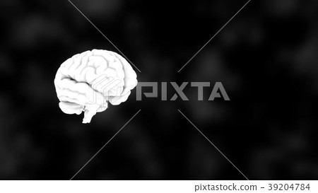 3D human white brain on black, science anatomy 3D human white brain on black, science anatomy 39204784
