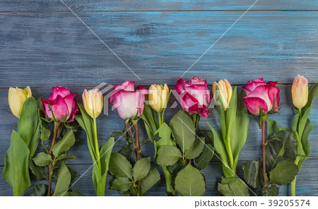 Row flowers on a blue background 39205574