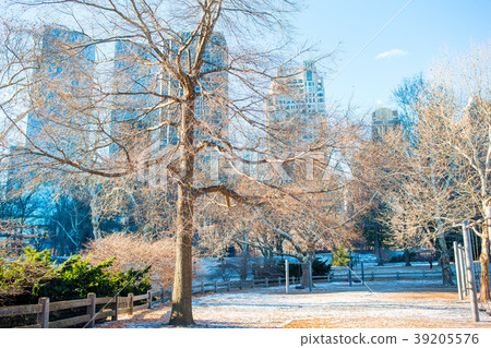 Beautiful Central Park in New York City 39205576