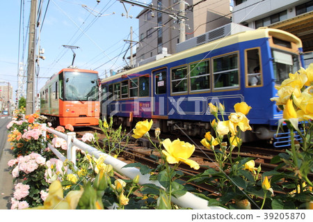 在Toden Arakawa線Arakawa車庫附近的藍色火車佐倉電車 39205870