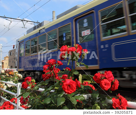 在Toden Arakawa線Arakawa車庫附近的藍色火車佐倉電車 39205871