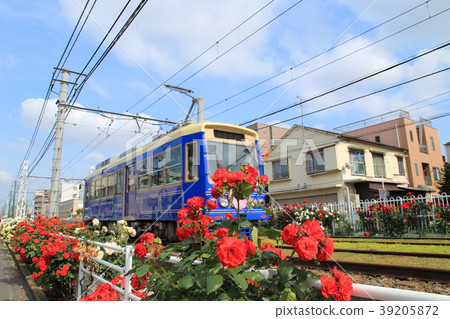 在Toden Arakawa線Arakawa車庫附近的藍色火車佐倉電車 39205872