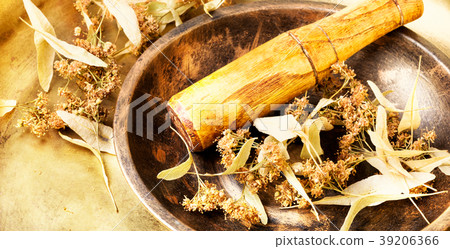 Flowering linden with leaves and flowers 39206366