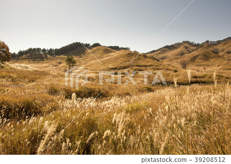 薄野高原（兵庫縣東寶高原） 39208512