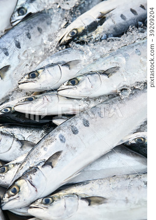 Fresh fishes on market 39209204