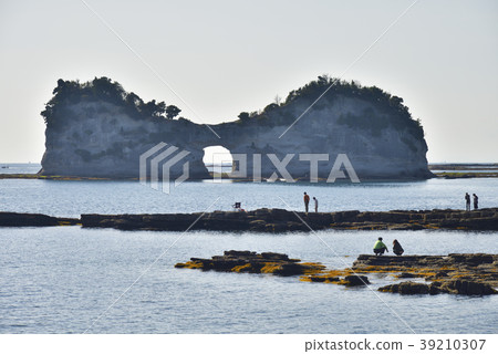 和歌島（高月）和歌山縣西濱郡白濱町 39210307