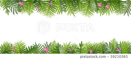 Exotic tropical leaf and frower border background Exotic tropical leaf and frower border background 39210365