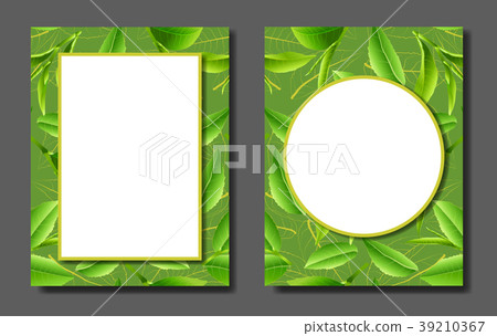 leaves green tea season background. 39210367