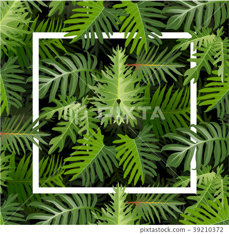 White frame of fresh green season leaves. White frame of fresh green season leaves. 39210372