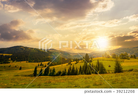 beautiful countryside summer landscape at sunset beautiful countryside summer landscape at sunset 39212208