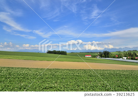 Biei North west hill View Observatory Park eastward 39213625