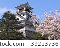 Cherry blossoms and Kochi castle 39213736