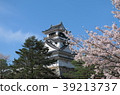Cherry blossoms and Kochi castle 39213737