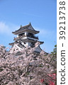 Cherry blossoms and Kochi castle 39213738