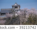 Cherry blossoms and Kochi castle 39213742