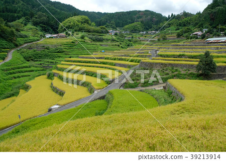 "Inan Tanada" selected as 100 Tanada in Hiroshima Prefecture 39213914