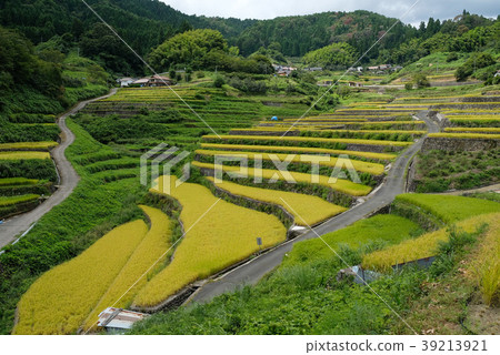 "Inan Tanada" selected as 100 Tanada in Hiroshima Prefecture 39213921