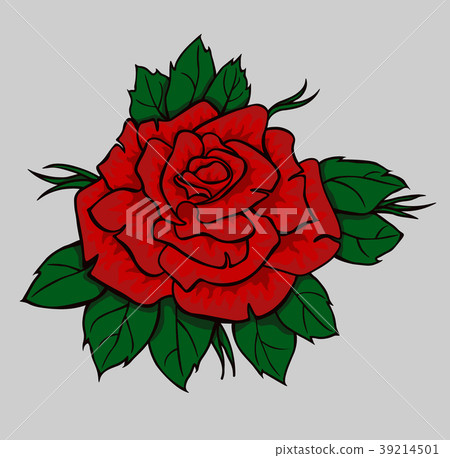 Red rose with green leaves. Isolated flower Red rose with green leaves. Isolated flower 39214501