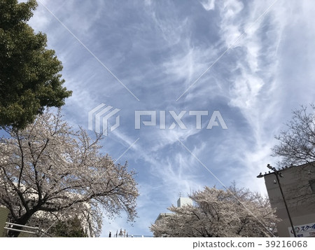 春雲 39216068