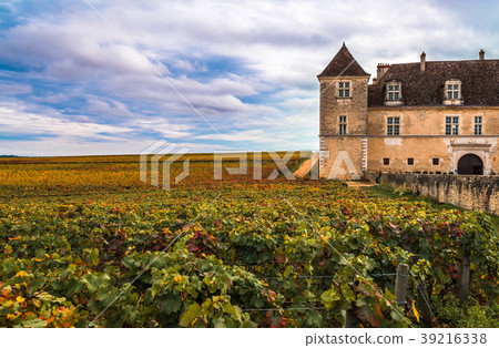 Chateau with vineyards in the autumn season Chateau with vineyards in the autumn season 39216338